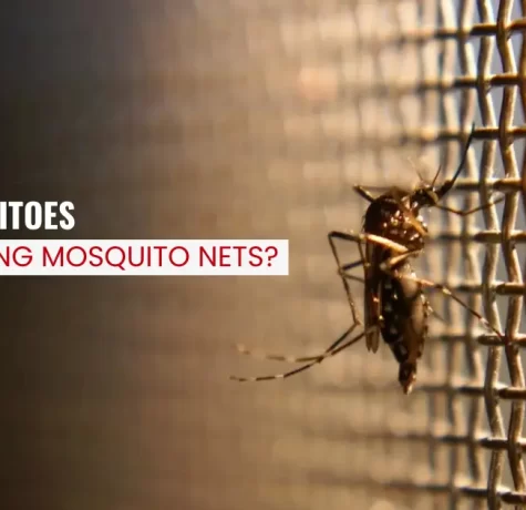 are mosquitoes outsmarting mosquito net
