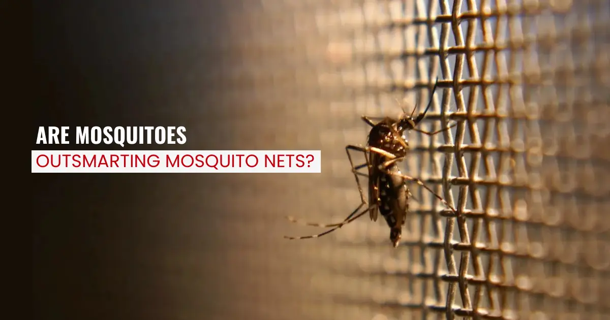 are mosquitoes outsmarting mosquito net